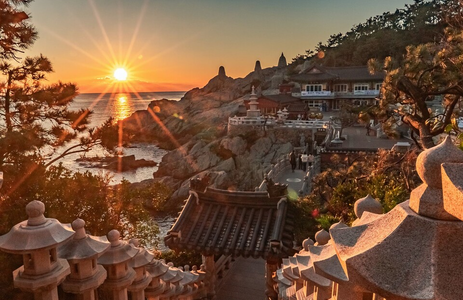 오피라이브 핫플레이스 부산해동용궁사